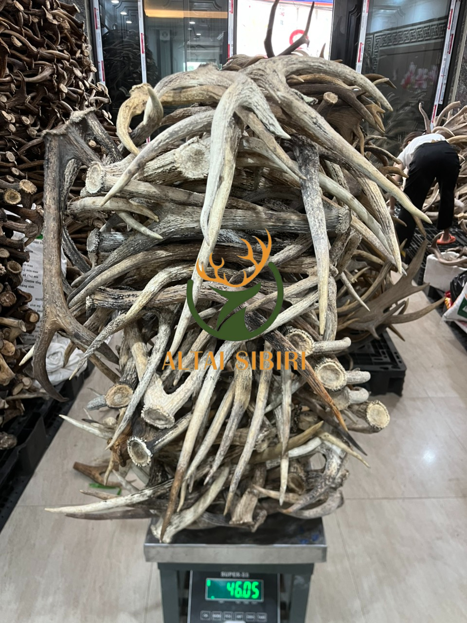 z6993773277438_e4798ec1694b1265cf6d54a75cf50dfa