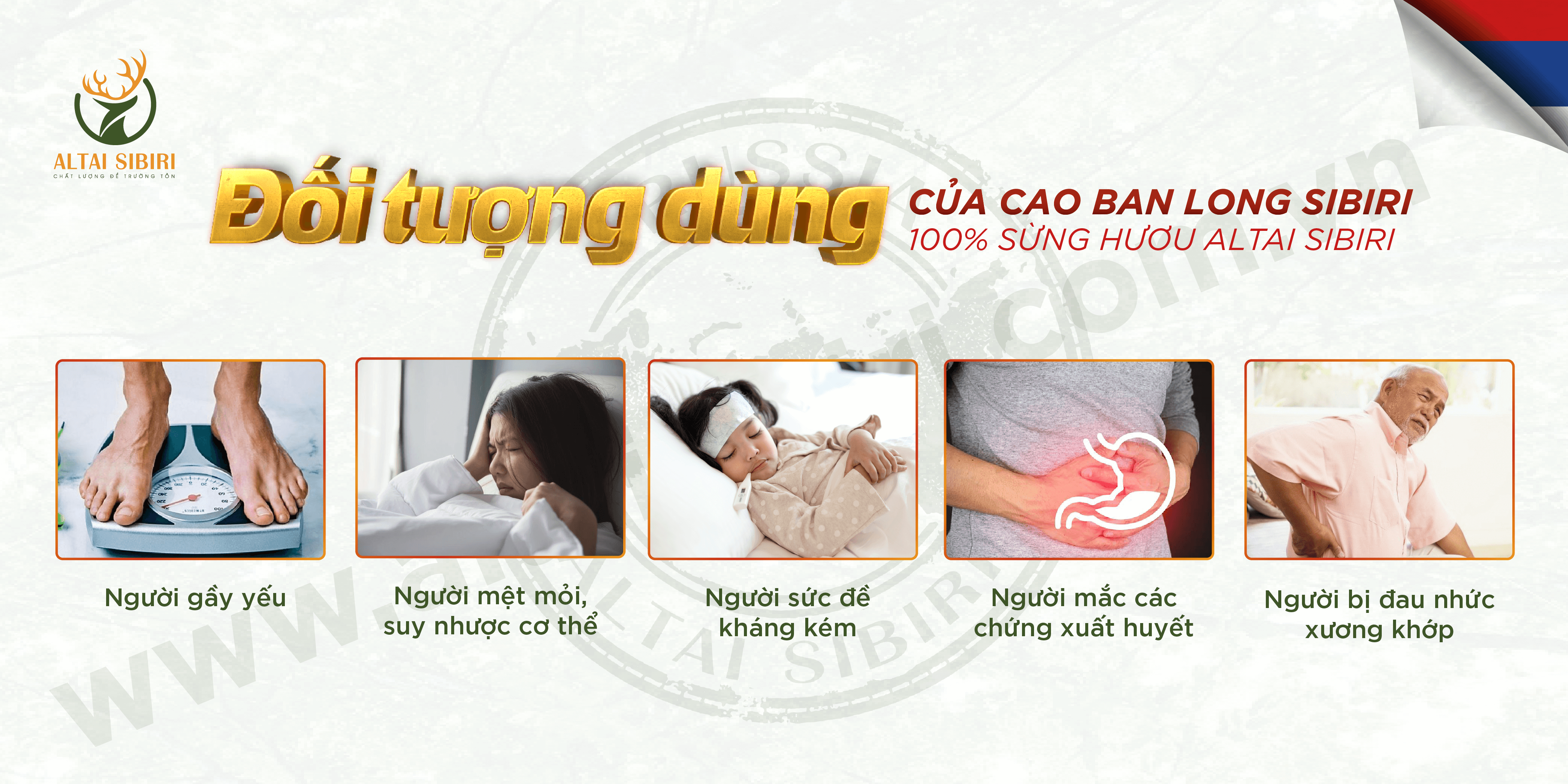 Cao Ban Long (Hộp 50gr)