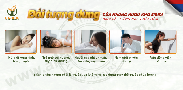 Nhung hươu khô Sibiri - Velvet Sibri ( Hộp 50gr)